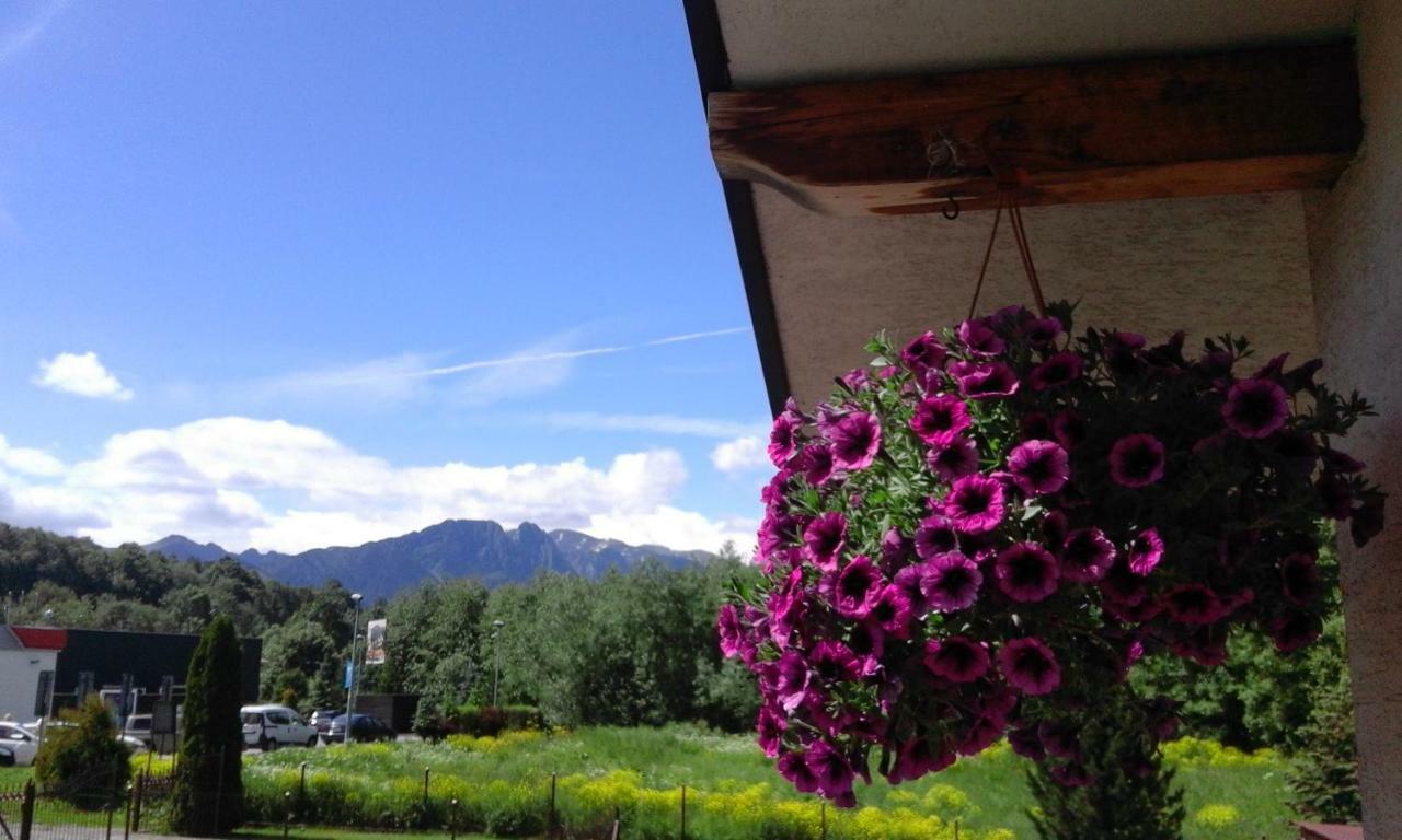 Pokoje Goscinne Agusia Zakopane Dış mekan fotoğraf